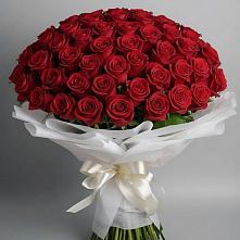 Букет 101 Красная роза Блэк Мэджик #REPLACE_PRED# Подлесном