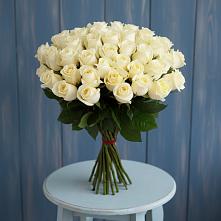 Букет 51 Белая роза Эдлесс Лав #REPLACE_PRED# Подлесном