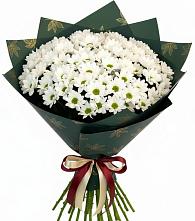 Букет цветов из:  Хризантемы #REPLACE_PRED# Подлесном