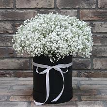 Цветочная композиция из Гипсофила в шляпной коробке в Подлесном